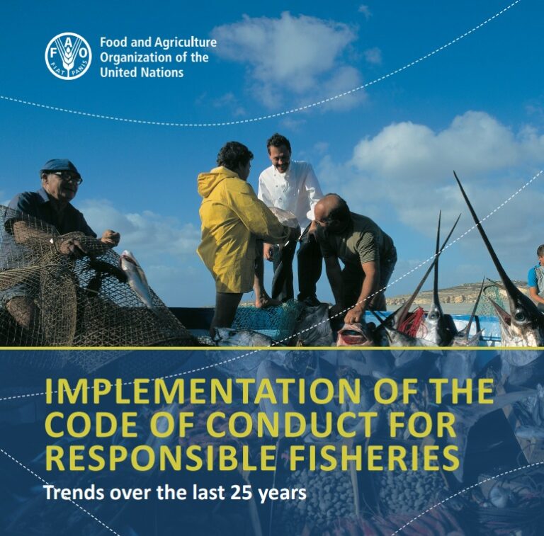 Implementation of the International Plan of Action to Prevent, Deter ...